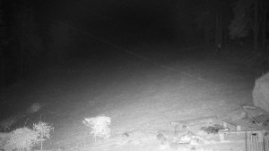 Chata Myslivna SKP Olomouc - Běžecký lyžařský areál Nová Ves - 16.12.2025 v 05:00 Chata Myslivna SKP Olomouc - Běžecký lyžařský areál Nová Ves - 16.12.2025 v 05:00