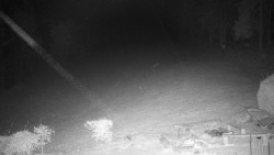 Běžecký lyžařský areál Nová Ves