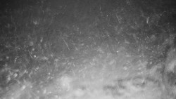 Běžecký lyžařský areál Nová Ves