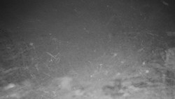 Běžecký lyžařský areál Nová Ves