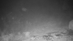 Běžecký lyžařský areál Nová Ves