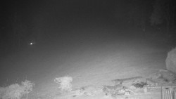 Běžecký lyžařský areál Nová Ves