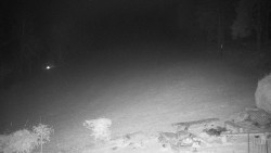 Běžecký lyžařský areál Nová Ves