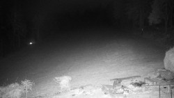 Běžecký lyžařský areál Nová Ves