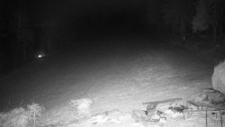 Běžecký lyžařský areál Nová Ves