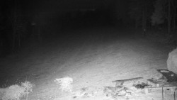 Běžecký lyžařský areál Nová Ves