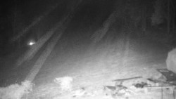 Běžecký lyžařský areál Nová Ves