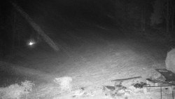 Běžecký lyžařský areál Nová Ves