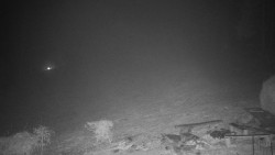 Běžecký lyžařský areál Nová Ves