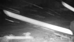 Běžecký lyžařský areál Nová Ves