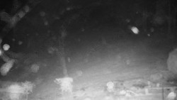 Běžecký lyžařský areál Nová Ves