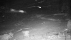 Běžecký lyžařský areál Nová Ves