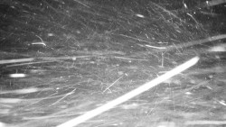 Běžecký lyžařský areál Nová Ves