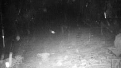 Běžecký lyžařský areál Nová Ves