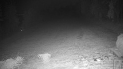 Běžecký lyžařský areál Nová Ves