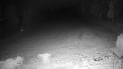 Běžecký lyžařský areál Nová Ves