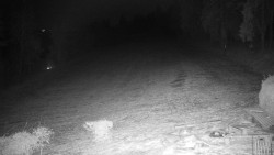 Běžecký lyžařský areál Nová Ves