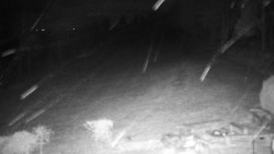 Běžecký lyžařský areál Nová Ves