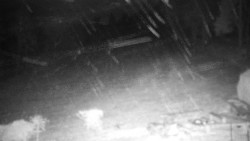 Běžecký lyžařský areál Nová Ves