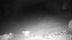 Běžecký lyžařský areál Nová Ves