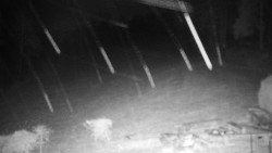 Běžecký lyžařský areál Nová Ves