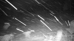 Běžecký lyžařský areál Nová Ves