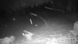 Běžecký lyžařský areál Nová Ves