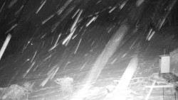 Běžecký lyžařský areál Nová Ves