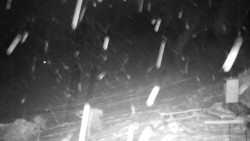 Běžecký lyžařský areál Nová Ves