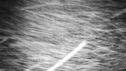 Běžecký lyžařský areál Nová Ves