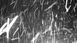 Běžecký lyžařský areál Nová Ves