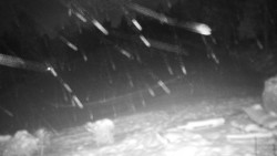 Běžecký lyžařský areál Nová Ves