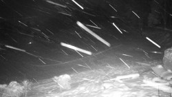 Běžecký lyžařský areál Nová Ves