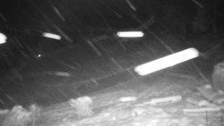 Běžecký lyžařský areál Nová Ves