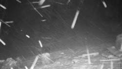 Běžecký lyžařský areál Nová Ves