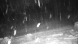 Běžecký lyžařský areál Nová Ves