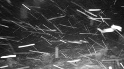 Běžecký lyžařský areál Nová Ves