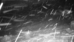 Běžecký lyžařský areál Nová Ves