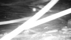 Běžecký lyžařský areál Nová Ves