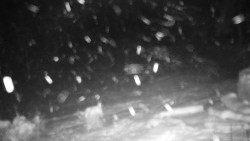 Běžecký lyžařský areál Nová Ves