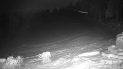 Běžecký lyžařský areál Nová Ves