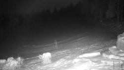 Běžecký lyžařský areál Nová Ves