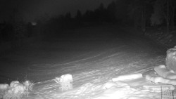 Běžecký lyžařský areál Nová Ves