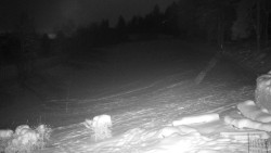 Běžecký lyžařský areál Nová Ves