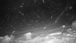 Běžecký lyžařský areál Nová Ves