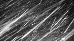 Běžecký lyžařský areál Nová Ves