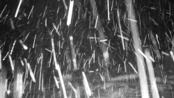 Běžecký lyžařský areál Nová Ves