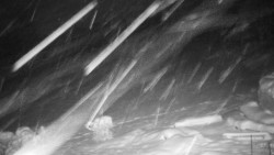 Běžecký lyžařský areál Nová Ves