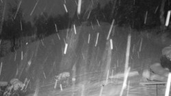 Běžecký lyžařský areál Nová Ves