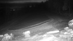 Běžecký lyžařský areál Nová Ves